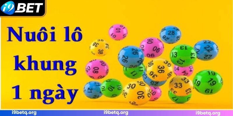 Đôi chút thông tin về cách nuôi lô đề Đôi chút thông tin về cách nuôi lô đề